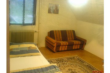 Ungārija Privát Aggtelek, Eksterjers